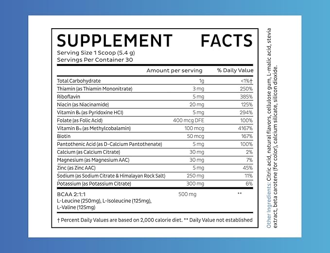 Zeal Electrolyte Powder - 30 Servings | Keto Electrolytes Powder | Zero Sugar, BCAAs, B-Vitamins | Potassium, Zinc, Magnesium | Hydration Powder Recovery Drink | Orange Creamsicle