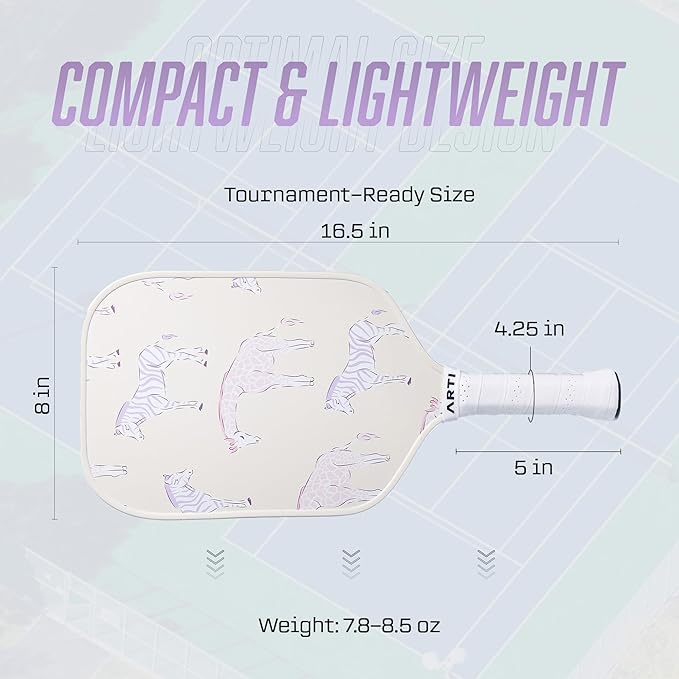 ARTI Pickleball Paddles Set of 2-USAPA Approved Fiberglass Surface Pickleball Set,2 Pickleball Rackets, 4 Balls and 1 Portable Carry Bag