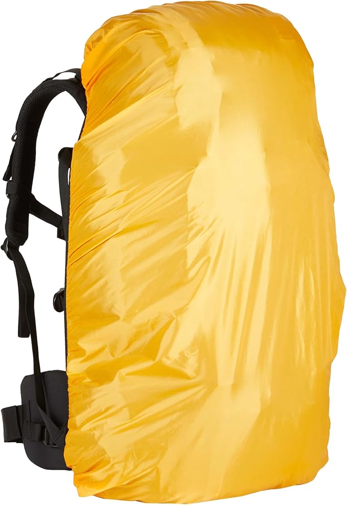 Amazon Basics Internal Frame Backpack