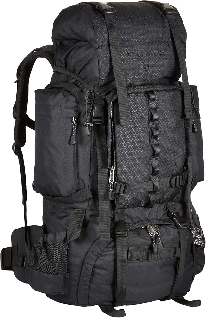 Amazon Basics Internal Frame Backpack