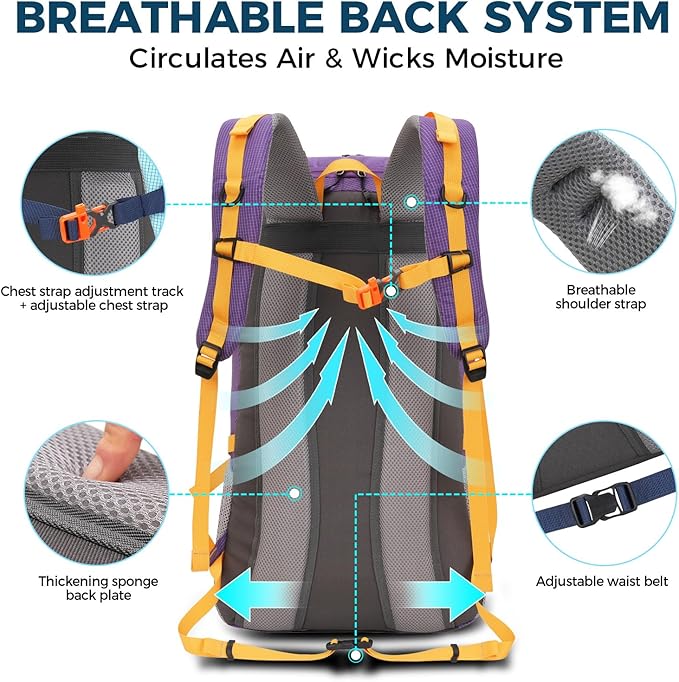 Bseash 45L Waterproof Hiking Camping Backpack with Rain Cover, Outdoor Sport Travel Bag Daypack for Climbing Skiing Cycling (Purple)