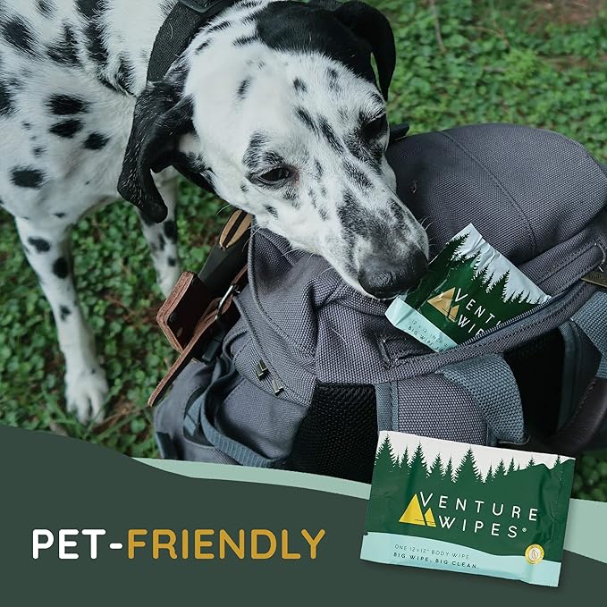 Venture Wipes Tea Tree Oil Body Wipes - Adventure Wipes for Adults - Biodegradable Cleansing With Aloe and Vitamin E - Camping Essentials - Individually Wrapped - 10 Count Bag